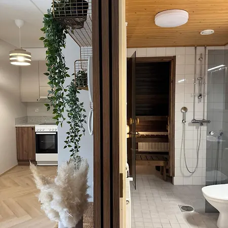 Апартаменты Spacious Two-room With Sauna In The Center And Free Parking