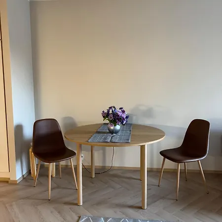 Spacious Two-room With Sauna In The Center And Free Parking