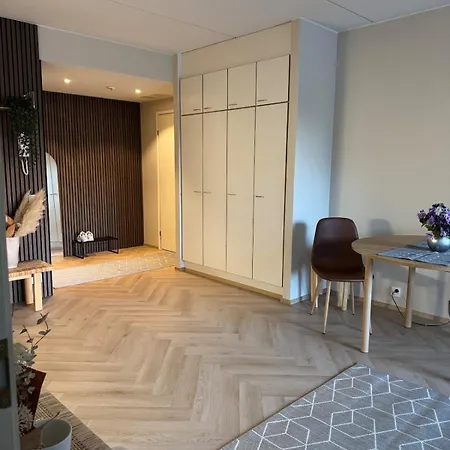 Spacious Two-room With Sauna In The Center And Free Parking *