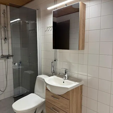 Spacious Two-room With Sauna In The Center And Free Parking Апартаменты Оулу